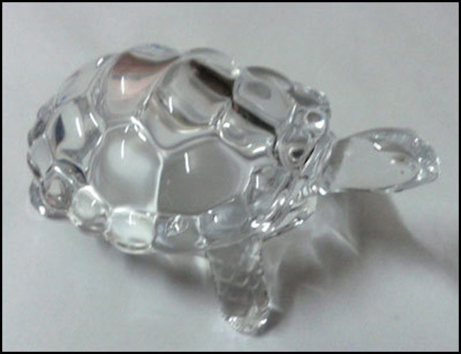 Turtle-glass