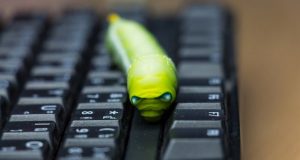 Prije 30 godina, jedan student je srušio tadašnji Internet